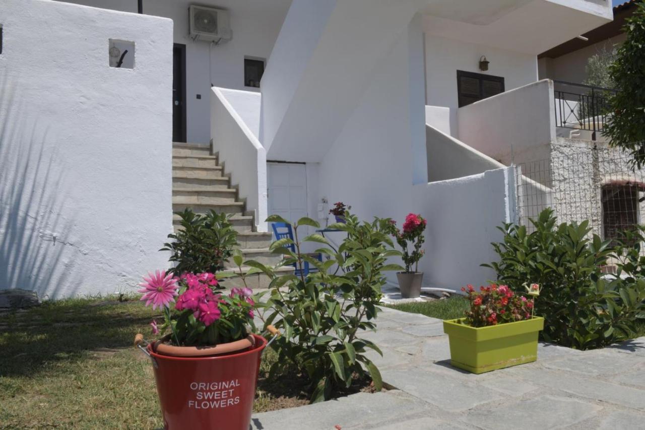 Villetta Magnolia Ψακούδια Εξωτερικό φωτογραφία